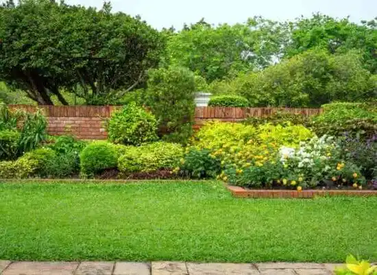 landscaping services Smith Valley